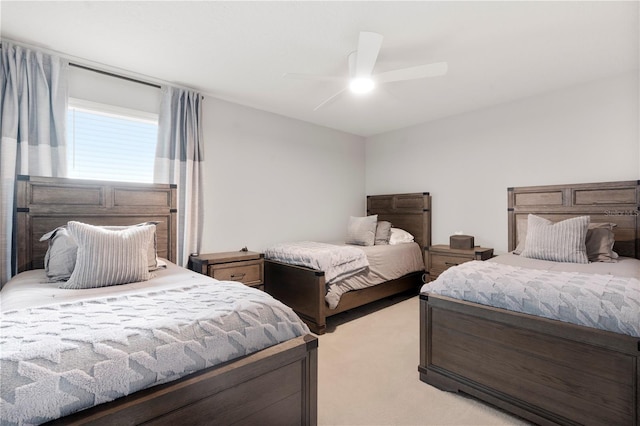 11719 Tetrafin Dr, Riverview, FL 33579 - carpeted bedroom with ceiling fan