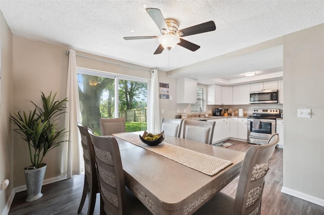 12529 Mondragon Dr, Tampa, FL 33625 - dining space featuring dark wood-style flooring, a textured ceiling, a ceiling fan, and baseboards