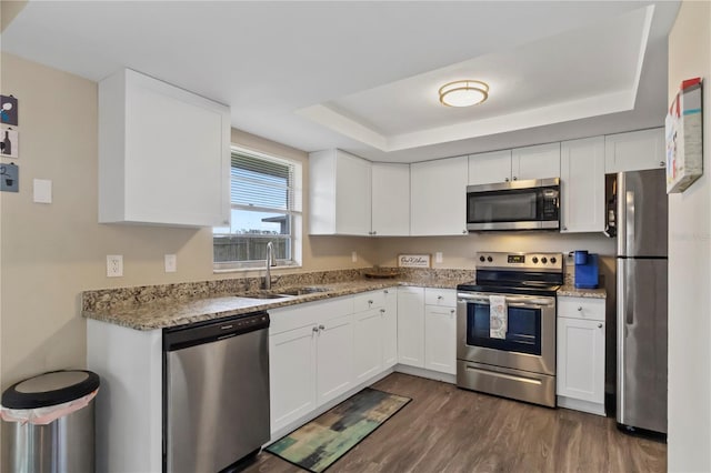 12529 Mondragon Dr, Tampa, FL 33625 - kitchen featuring stainless steel appliances, a sink, a tray ceiling, dark wood-style flooring, and white cabinets