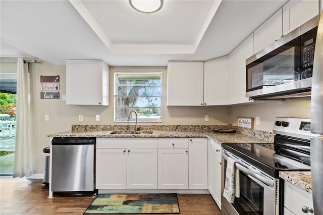 12529 Mondragon Dr, Tampa, FL 33625 - kitchen with stainless steel appliances, a sink, a raised ceiling, and white cabinetry