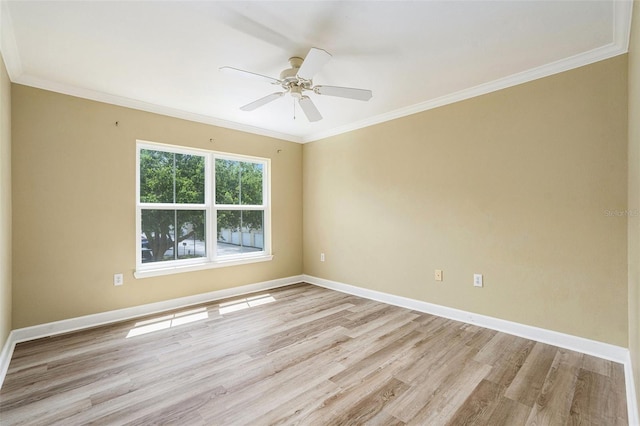 18533 Bridle Club Dr Unit 18533, Tampa, FL 33647 - photo 16