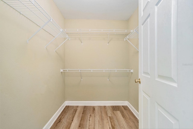 18533 Bridle Club Dr Unit 18533, Tampa, FL 33647 - photo 19