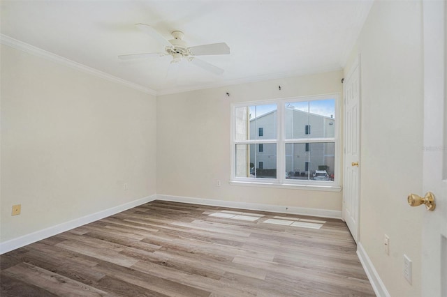 18533 Bridle Club Dr Unit 18533, Tampa, FL 33647 - photo 20