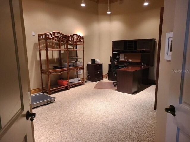 841 Ponce De Leon Dr, Saint Petersburg, FL 33715 - photo 36