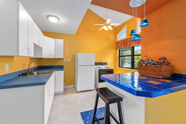 625 Fayette Dr S, Safety Harbor, FL 34695 - photo 11