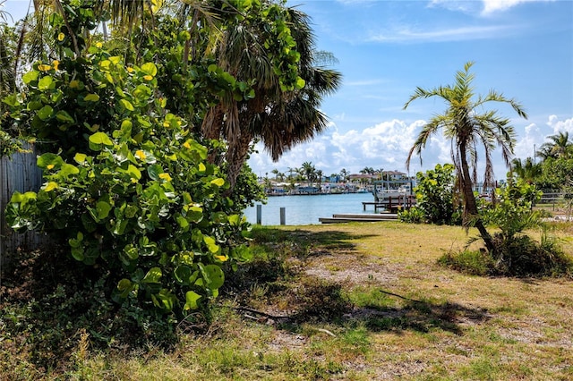 11465 7th St E, Treasure Island, FL 33706 - view of yard with a dock and a water view