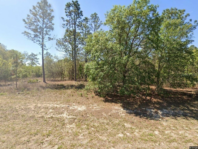 1816 W Hampshire Blvd, Citrus Springs, FL 34434