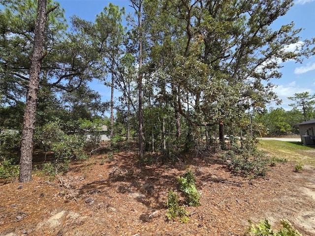 1816 W Hampshire Blvd, Citrus Springs, FL 34434