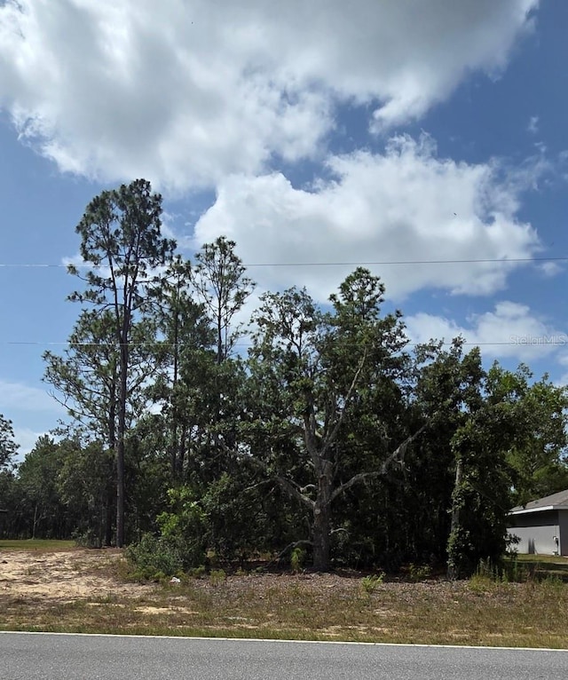 1816 W Hampshire Blvd, Citrus Springs, FL 34434