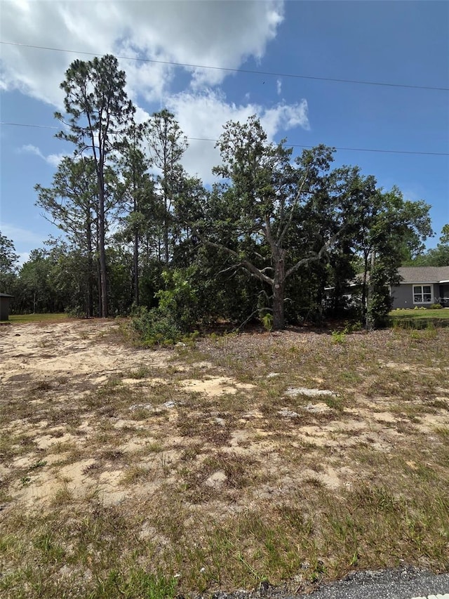 1816 W Hampshire Blvd, Citrus Springs, FL 34434