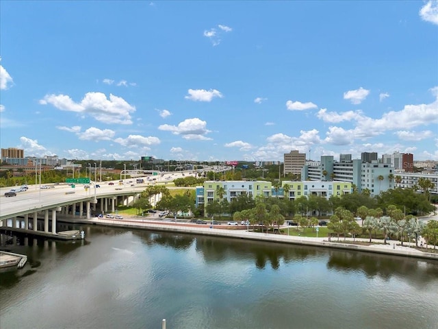1501 Doyle Carlton Dr Unit 303, Tampa, FL 33602 - water view featuring nearby urban area and a notable bridge