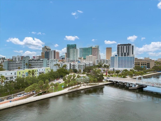 1501 Doyle Carlton Dr Unit 303, Tampa, FL 33602 - view of city skyline featuring a large body of water and a notable bridge