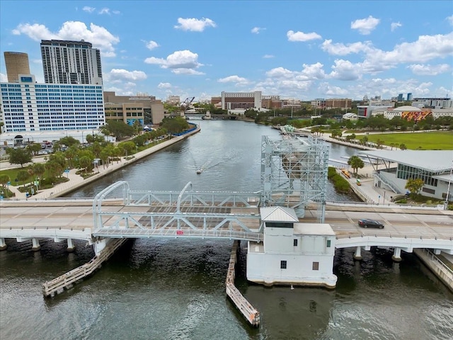 1501 Doyle Carlton Dr Unit 303, Tampa, FL 33602 - dock with a water view