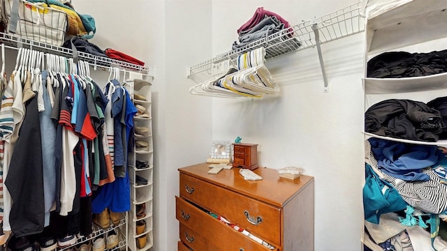 8111 Brickleton Woods Ave, Gibsonton, FL 33534 - view of walk in closet
