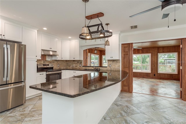 12 Bayou Ln, Palm Harbor, FL 34683 - kitchen with stainless steel appliances, a ceiling fan, under cabinet range hood, healthy amount of natural light, and crown molding