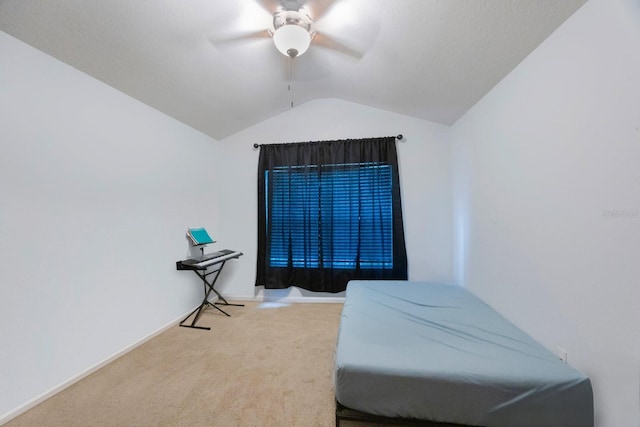 2733 Conch Hollow Dr, Brandon, FL 33511 - photo 20