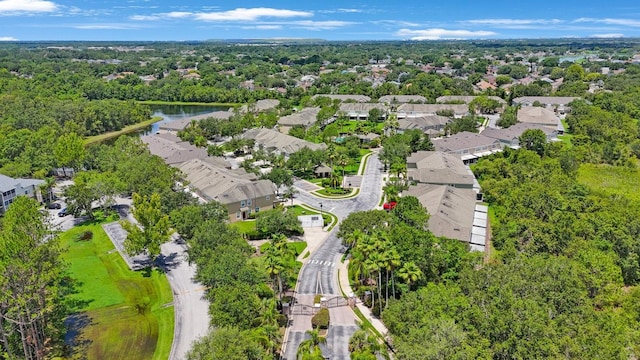 2733 Conch Hollow Dr, Brandon, FL 33511 - photo 32