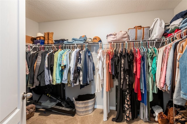 12208 Mcmullen Loop, Riverview, FL 33569 - spacious closet with carpet floors