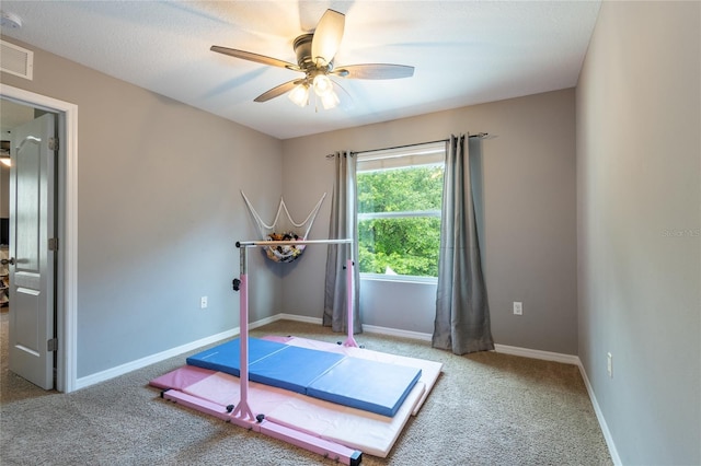 12208 Mcmullen Loop, Riverview, FL 33569 - workout area with ceiling fan, carpet floors, and baseboards