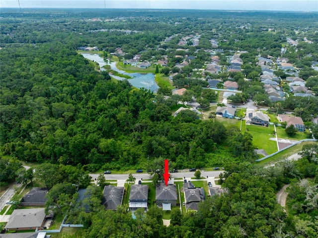 12208 Mcmullen Loop, Riverview, FL 33569 - view of property location with a forest, a nearby body of water, and nearby suburban area
