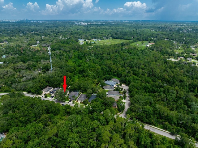 12208 Mcmullen Loop, Riverview, FL 33569 - aerial view of property and surrounding area featuring a forest