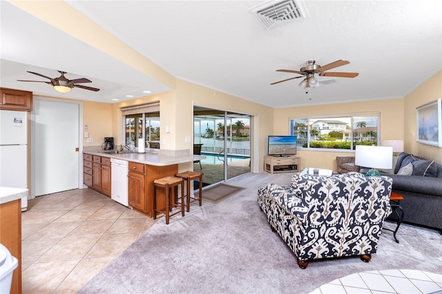 2096 Massachusetts Ave NE, Saint Petersburg, FL 33703 - living room featuring ceiling fan and light tile patterned floors
