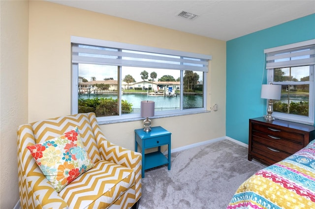 2096 Massachusetts Ave NE, Saint Petersburg, FL 33703 - carpeted bedroom featuring multiple windows, a water view, and baseboards