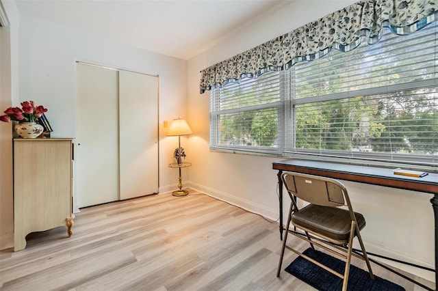4748 Azalea Dr Unit 204, New Port Richey, FL 34652 - office space with light wood-type flooring and baseboards