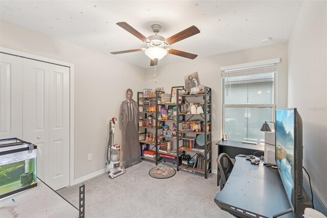 6961 King Creek Dr, Sun City Center, FL 33573 - photo 22