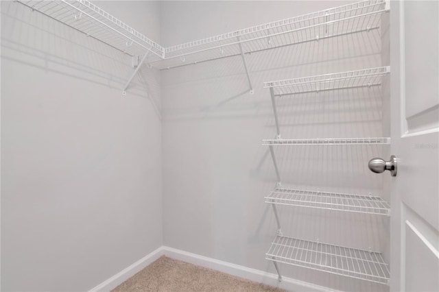 4262 Cloud Hopper Way, Lutz, FL 33559 - spacious closet featuring carpet floors