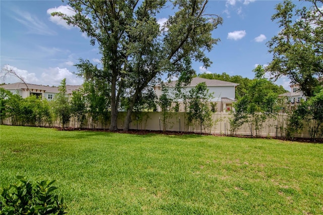 4262 Cloud Hopper Way, Lutz, FL 33559 - view of yard