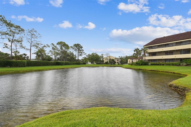 13612 S Village Dr Unit 5201, Tampa, FL 33618 - water view