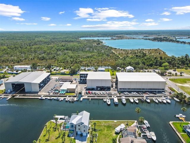 4137 Des Prez Ct, Hernando Beach, FL 34607 - drone / aerial view of a large body of water, a heavily wooded area, and a marina