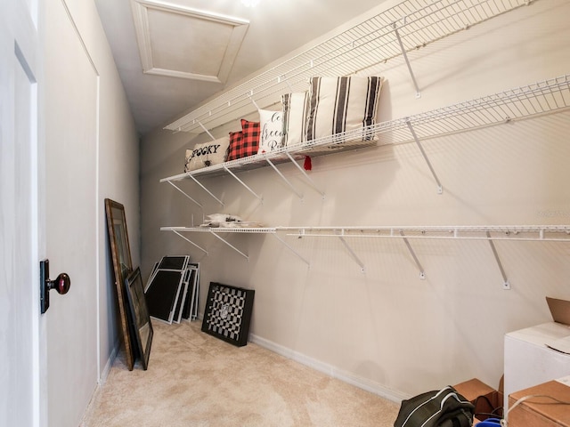 3724 Fawn Grove Ct, Land O Lakes, FL 34639 - walk in closet featuring carpet floors