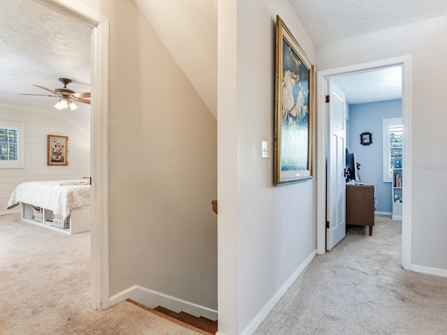 3724 Fawn Grove Ct, Land O Lakes, FL 34639 - corridor featuring carpet floors, baseboards, and a textured ceiling