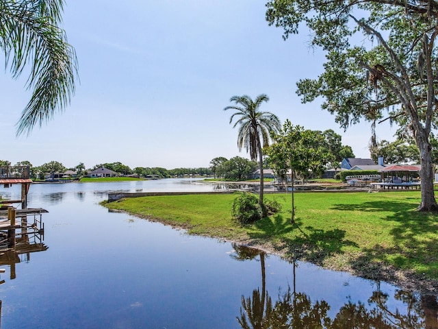 3724 Fawn Grove Ct, Land O Lakes, FL 34639 - water view