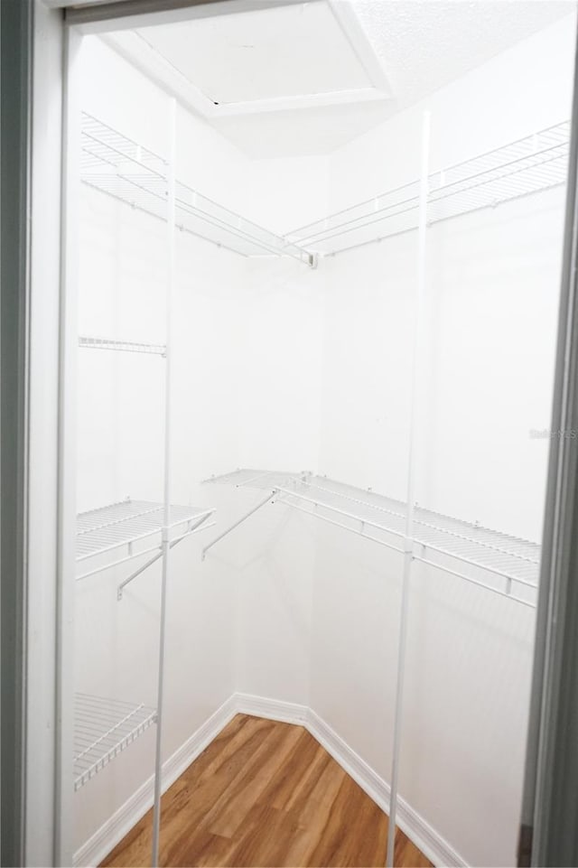 413 Lake Point Ct Unit 4B, Sun City Center, FL 33573 - walk in closet with light wood finished floors