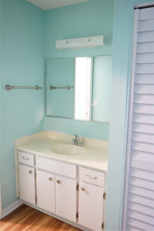 413 Lake Point Ct Unit 4B, Sun City Center, FL 33573 - bathroom with vanity and wood finished floors