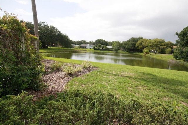10402 Ashley Oaks Dr, Riverview, FL 33578 - photo 5