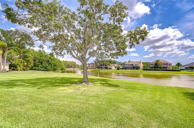 4304 Place Le Manes, Lutz, FL 33558 - view of green lawn featuring a water view and a residential view