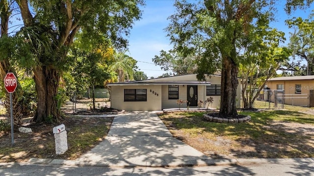 8009 Somerset Ln, Tampa, FL 33615 - photo 31