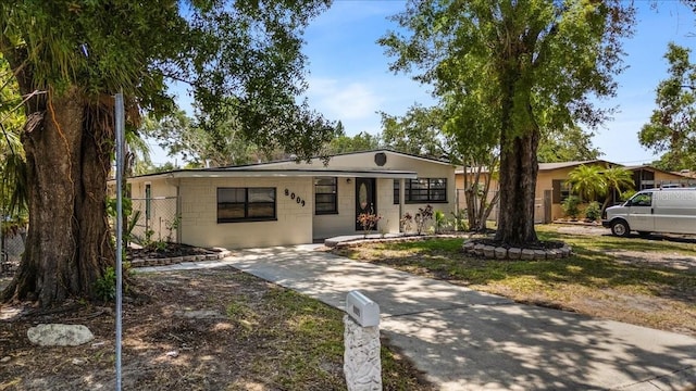 8009 Somerset Ln, Tampa, FL 33615 - photo 32