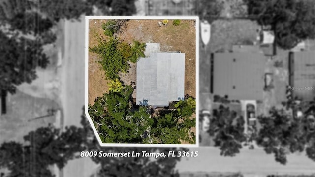 8009 Somerset Ln, Tampa, FL 33615 - photo 34