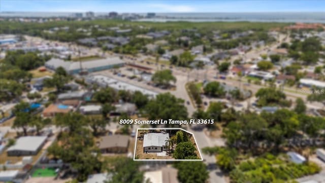 8009 Somerset Ln, Tampa, FL 33615 - photo 36