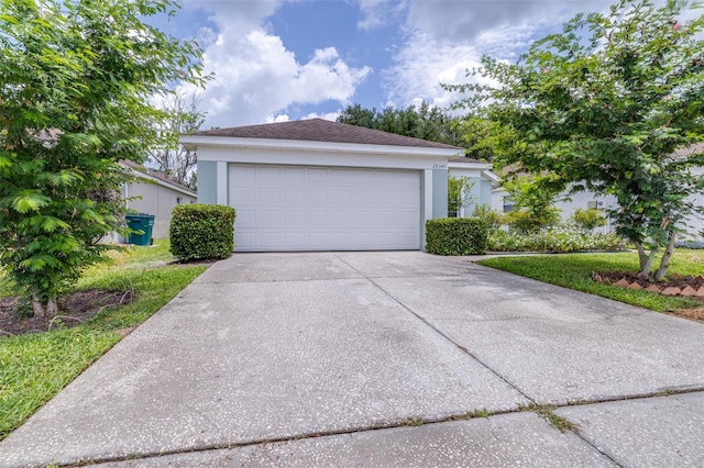 26343 Whirlaway Ter, Wesley Chapel, FL 33544 - photo 2