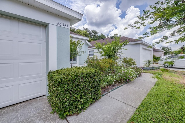26343 Whirlaway Ter, Wesley Chapel, FL 33544 - photo 3