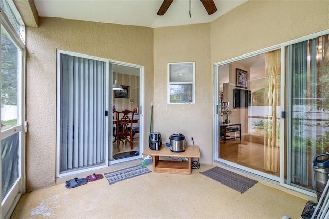 26343 Whirlaway Ter, Wesley Chapel, FL 33544 - photo 27