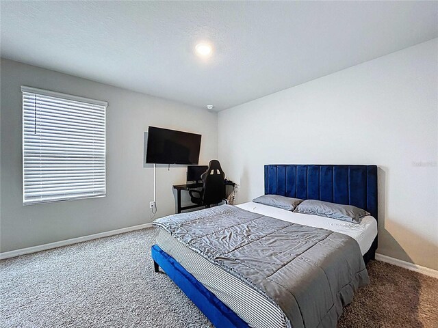32451 Limitless Pl, Wesley Chapel, FL 33545 - bedroom with carpet floors and baseboards