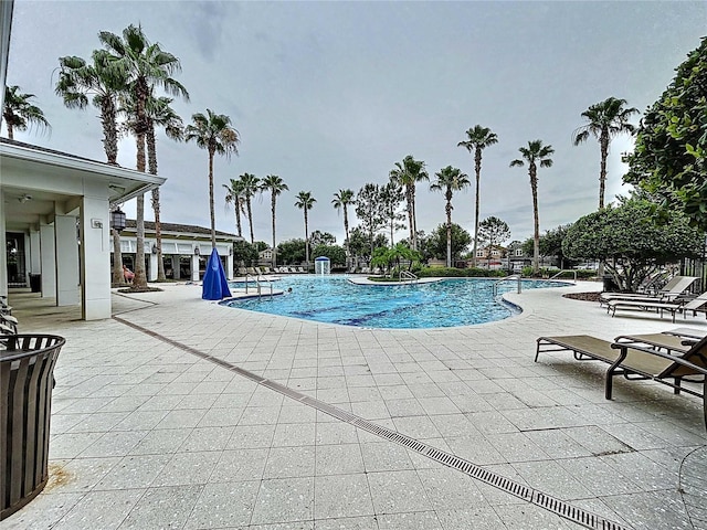 32451 Limitless Pl, Wesley Chapel, FL 33545 - community pool with a patio