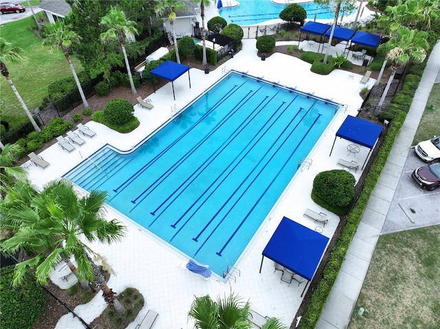 32451 Limitless Pl, Wesley Chapel, FL 33545 - view of community pool